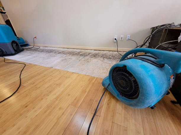 Professional Flood Damage Cleanup technician working in Wheatland, PA